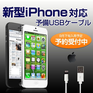 iPhone5 ケーブル Lightningケーブル.png